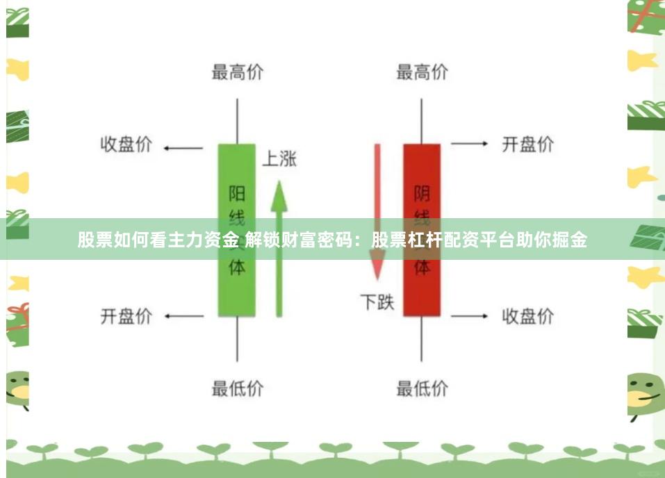 股票如何看主力资金 解锁财富密码：股票杠杆配资平台助你掘金